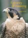 Falconry and Hawking cover