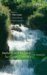 Methods and Reagents for Green Chemistry : An Introduction cover