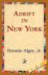 Adrift in New York : Or, Tom and Florence Braving the World cover