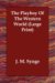 The Playboy of the Western World cover
