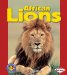 African Lions cover