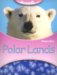  Polar Lands