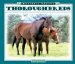 Thoroughbreds cover