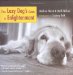 The Lazy Dog's Guide to Enlightenment cover