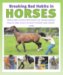Breaking Bad Habits in Horses : Tried and Tested Methods of Overcoming Faults and Vices in Both Horse and Rider cover