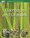  Bamboo and Grasses