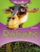  Robots
