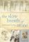 The Slow Breath of Stone : A Romanesque Love Story cover