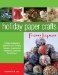 Holiday Paper Crafts from Japan : 17 Easy Projects to Brighten Your Holiday Season... cover
