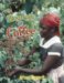 The Biography of Coffee cover