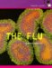 The Flu cover