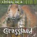 Living in a Grasslands cover