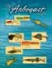 The Fred Arbogast Story : A Fishing Lure Collector's Guide cover