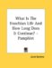 What Is the Enochian Life and How Long Does It Continue? cover