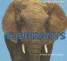 Elephants cover