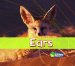 Ears cover