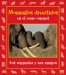Momentos Divertidos En El Reino Animal : Los Animales Y Sus Amigos cover