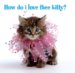 How Do I Love Thee Kitty? cover