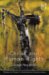Christ And Human Rights : The Transformative Engagement cover