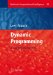 Dynamic Programming : A Computational Tool cover