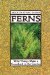 Ferns : Wild Things Make a Comeback in the Garden cover