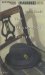 The Deadwood Beetle cover