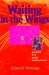 Waiting in the Wings : Portrait of a Queer Motherhood cover