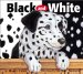 Black and White cover
