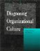 Diagnosing Organizational Culture cover