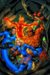 Fantastic Four 1 cover