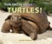 Fun Facts About Turtles! cover