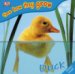 Duck cover