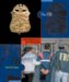 The FBI cover