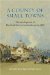 County of Small Towns : The Development of Hertfordshire's Urban Landscape to 1800 cover