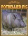 Potbellied Pig cover