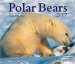 Polar Bears 2007 Calendar cover