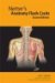 Netter's Anatomy Flash Cards cover