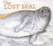 The Lost Seal cover