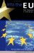 Into the Eu : Policy Frameworks in Central Europe cover