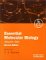 Essential Molecular Biology : A Practical Approach cover