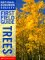 Trees cover
