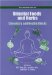 Oriental Foods and Herbs : Chemistry and Health Effects cover