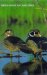 North American Game Birds cover