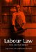 Labour Law : Text and Materials cover