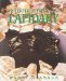 Introduction to Lapidary cover