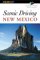 Scenic Driving New Mexico cover