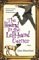 The Hound in the Left-Hand Corner : A Novel cover