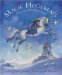 Magic Hoofbeats : Horse Tales from Many Lands cover