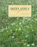 Queen Anne's Lace [Click for larger image]