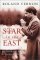 A Star in the East : Krishnamurti, the Invention of a Messiah cover